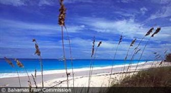bahamas.guide.travel.basics.tourist.offices