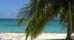 Get the Basics on The Bahamas Travel