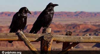 arizona.guide.planning.your.trip.making.decisions