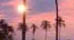 5 Star Hotels in Guadeloupe
