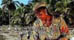 Find Hotels with Great Dining Options in Guadeloupe