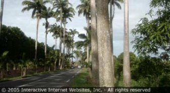 guadeloupe.guide.getting.around