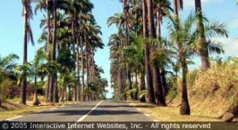 guadeloupe.guide.travel.basics.driving