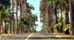 Tips for Driving in Guadeloupe