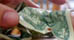 Tipping and Gratuities