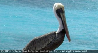 stkitts.guide.travel.basics.tourist.offices
