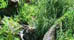 Camping and Eco-Tourism on Jamaica