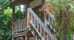 Info on Rental Properties in Jamaica