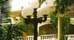 Accommodations in Jamaica