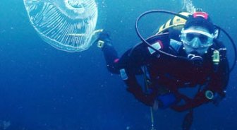jamaica.guide.activities.diving.and.snorkeling