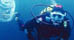 Jamaica's Diving and Snorkeling Information