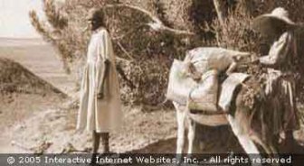 jamaica.guide.past.and.present