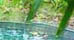 Weather in Jamaica