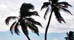 4 Star Hotels in Trinidad and Tobago