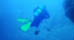 Where to Dive and Snorkel in Belize