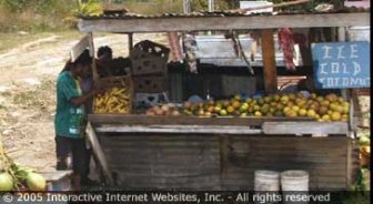 belize.guide.travel.basics.customs