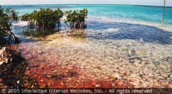 belize.guide.travel.basics