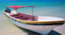 Ferries and Boats