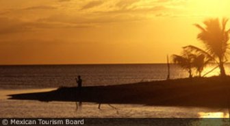 cancun.guide.planning.your.trip.getting