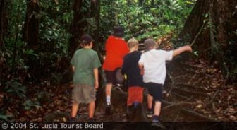 stlucia.guide.accommodations.camping.and.eco.tourism