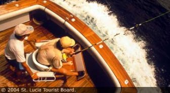 stlucia.guide.activities.fishing.and.chartering