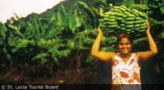stlucia.guide.past.and.present.economy