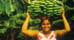Tourism and Economic Issues in St. Lucia