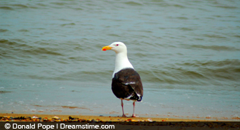 delaware.guide.overview