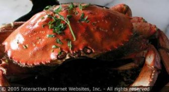 saba.guide.food