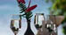 Saba's Restaurants