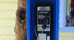 Telephone Service in Saba