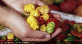 curacao.guide.food.culinary.styles
