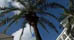 Hotels in Anguilla with 4 Stars