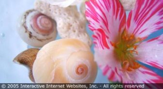 anguilla.guide.travel.basics.embassies.and.consulates