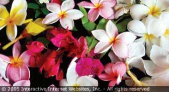 dominica.guide.accommodations