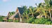 Info on Rental Properties in Dominica