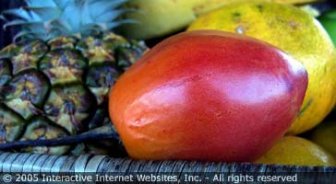 dominica.guide.food