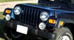 Rental Cars