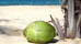 Dominica on a Budget