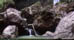 When to Visit Dominica
