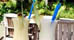 Tipping and Gratuities