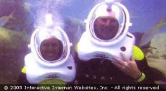 aruba.guide.activities.diving.and.snorkeling