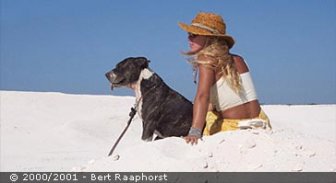 aruba.guide.planning.your.trip.booking.your.vacation