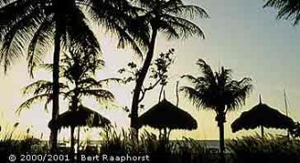 aruba.guide.travel.basics.tipping.and.gratuities