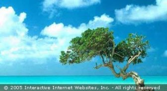 aruba.guide.why.not.go
