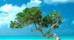 Why Not Go to Aruba