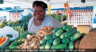 antigua.guide.food.culinary.styles