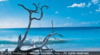antigua.guide.planning.your.trip.when.to.go