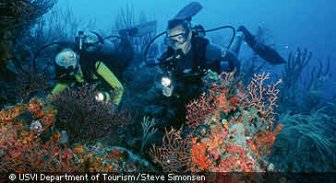 caribbean.guide.activities.diving.and.snorkeling
