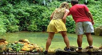 caribbean.guide.activities.other.activities